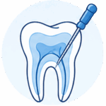 Icon für Endodontie und Wurzelbehandlung mit Zahn-Schnittdarstellung in der Zahnarztpraxis Trier